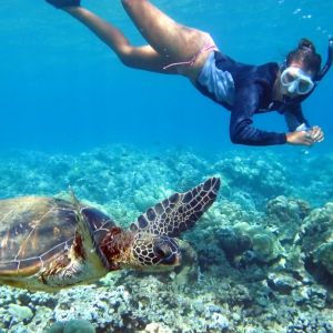 Фото Сейшельских Островов 6 Фото Сейшельских Островов 6