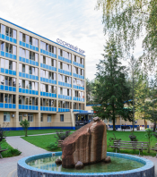 Санаторий «Сосновый бор» Санаторий «Сосновый бор»
