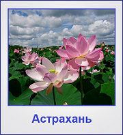 Туры в Астрахань Туры в Астрахань