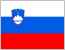 Флаг Словении